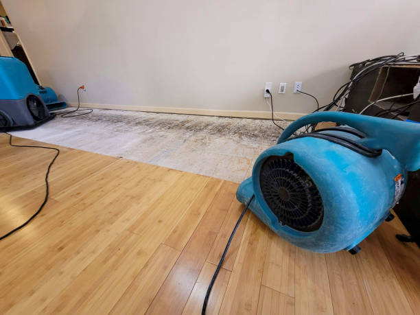Professional Burst Pipe Water Damage technician working in Mowrystown, OH